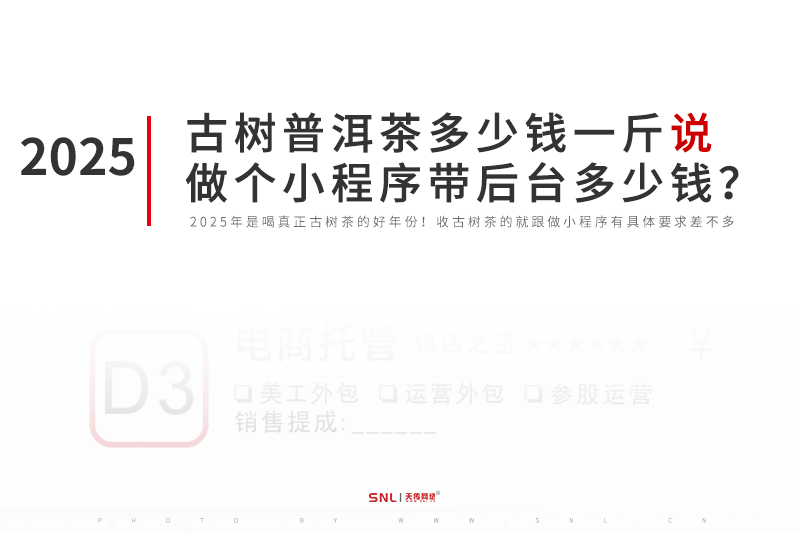 2025年古树茶普洱茶多少钱一斤说做一个小程序带后台多少钱?
