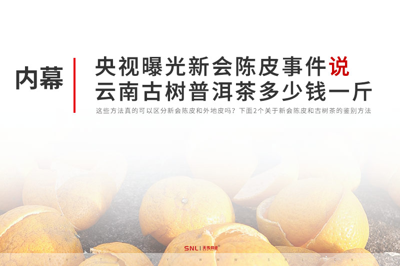 央视曝光新会陈皮事件说云南古树普洱茶多少钱一斤