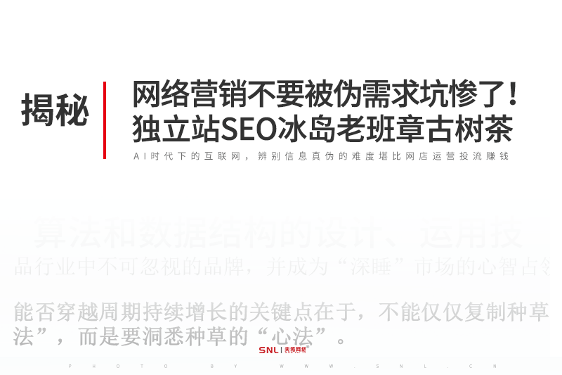 网络营销不要被伪需求坑惨了!自媒体的独立站SEO冰岛老班章古树茶
