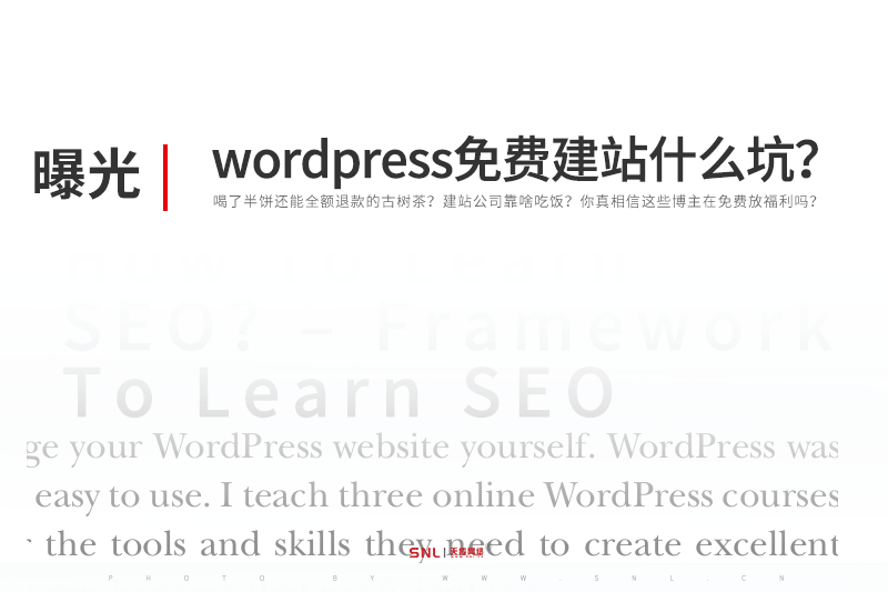 网站建设公司怎么赚钱:wordpress永久免费网站建设是什么?