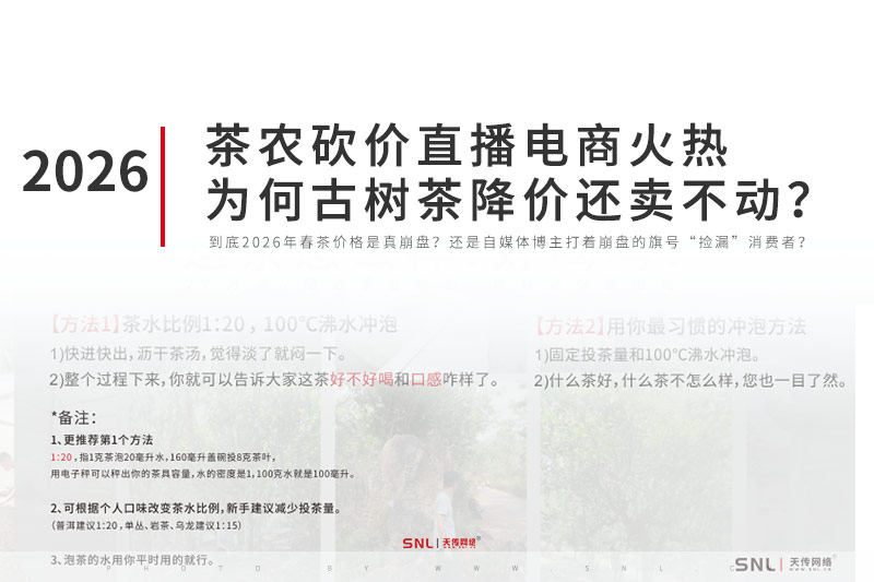 茶农砍价网络营销与直播电商火热为何云南普洱茶古树茶降价还卖不动?
