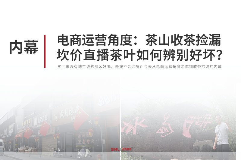 电商运营角度:茶山收茶捡漏坎价直播网购茶叶如何辨别好坏?