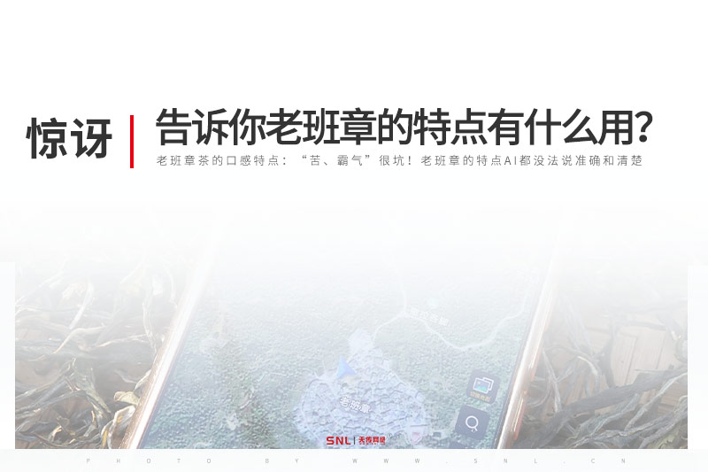 广州网络推广公司告诉你老班章的特点有什么用?